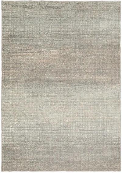 Capistrano 3'10" x 5'5" Grey Rug