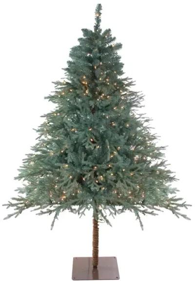 6.5' Pre-Lit Full Fairbanks Alpine Artificial Christmas Tree - Clear Lights