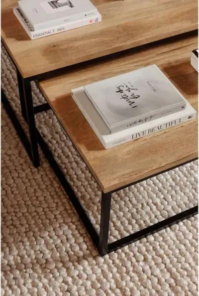 Moe’s Hollis Nesting Coffee Table Set