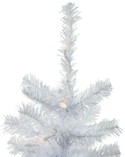 2' Pre-Lit Woodbury White Pine Slim Artificial Christmas Tree  Clear Lights