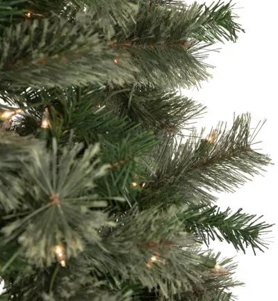 6.5' Pre-Lit Oregon Cashmere Pine Artificial Christmas Tree  Clear Lights