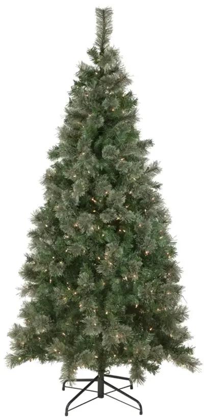 6.5' Pre-Lit Oregon Cashmere Pine Artificial Christmas Tree  Clear Lights