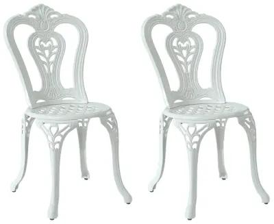 MONDAWE Antique Cast Aluminum Bistro Chairs Hollow Back (Set of 2)