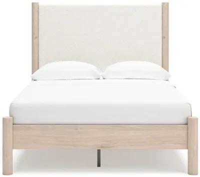 Cadmori Two-tone Full Upholstered Panel Bed