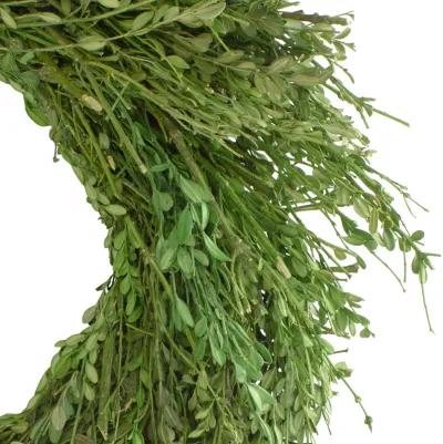 Green Foliage Artificial Spring Wreath  20-Inch