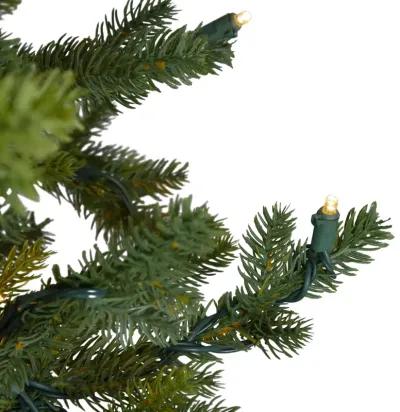 6.5' Pre-Lit Full North Pine Artificial Christmas Tree - Clear LED Lights