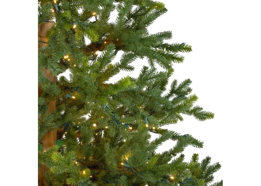 6.5' Pre-Lit Full North Pine Artificial Christmas Tree - Clear LED Lights