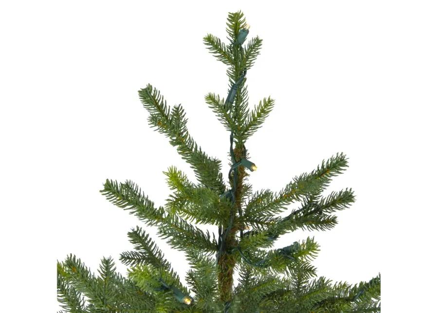 6.5' Pre-Lit Full North Pine Artificial Christmas Tree - Clear LED Lights