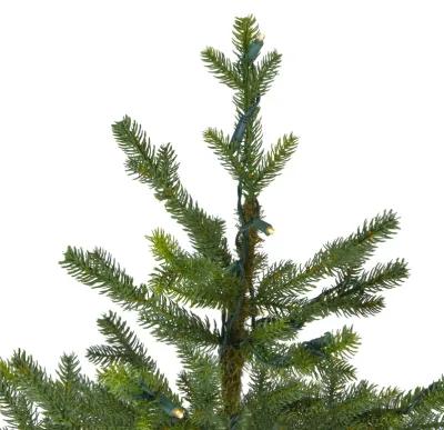 6.5' Pre-Lit Full North Pine Artificial Christmas Tree - Clear LED Lights