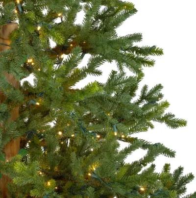 6.5' Pre-Lit Full North Pine Artificial Christmas Tree - Clear LED Lights