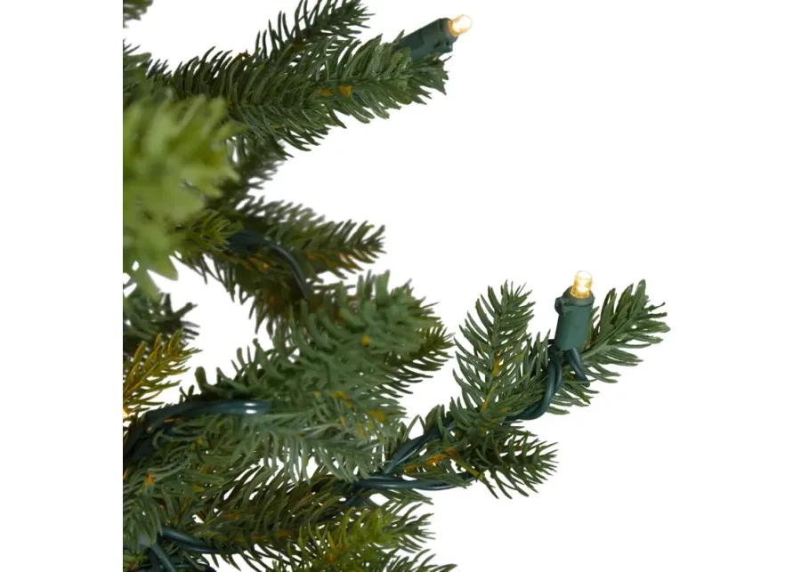 6.5' Pre-Lit Full North Pine Artificial Christmas Tree - Clear LED Lights