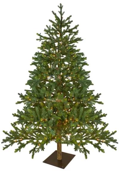 6.5' Pre-Lit Full North Pine Artificial Christmas Tree - Clear LED Lights