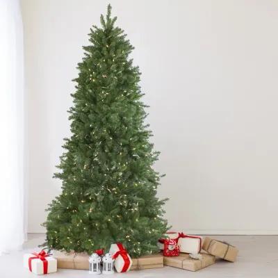 9' Pre-Lit Instant Connect Neola Fraser Fir Artificial Christmas Tree - Dual LED Lights