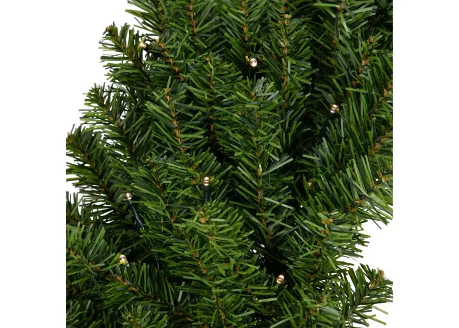 Pre-Lit Canadian Pine Artificial Christmas Wreath  30-Inch  Clear Lights