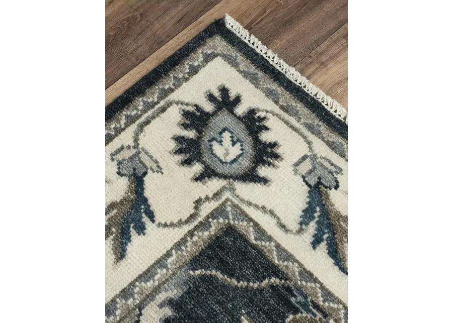 Ashton ATN916 2' x 3' Rug