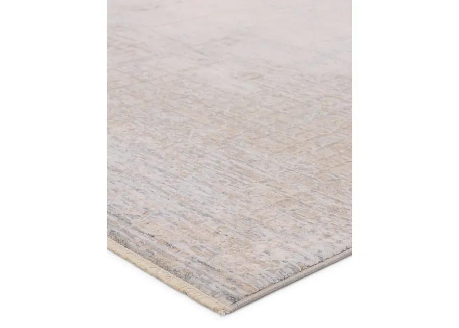 Aries Palermo Tan/Taupe 3' x 10' Runner Rug