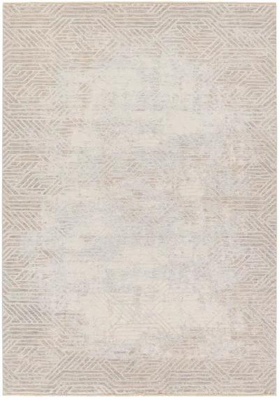 Aries Olympian Tan/Taupe 3' x 10' Runner Rug