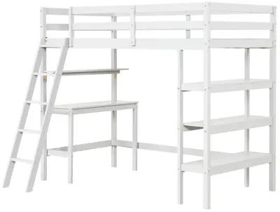 Twin Size Loft Bed with Desk and Bookshelves for Kids and Teens