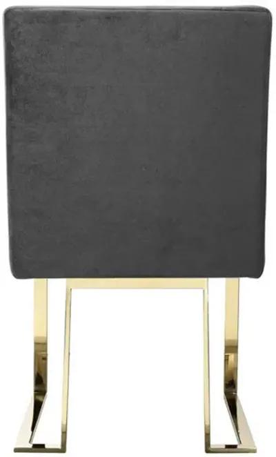 Boly 24 Inch Side Dining Chair Set of 2, Gray Velvet, Gold Cantilever - Benzara