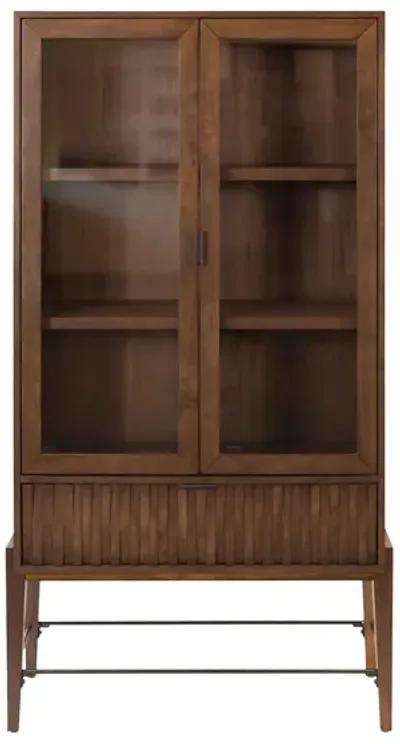 Delray Glass Door Bookcase/Display Cabinet