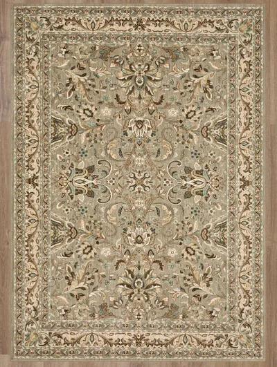 Euphoria Newbridge Willow gray 8' X 11' Rug