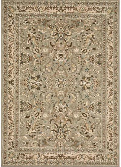 Euphoria Newbridge Willow gray 8' X 11' Rug