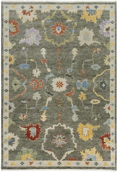 Envision ENV961 9' x 12' Rug