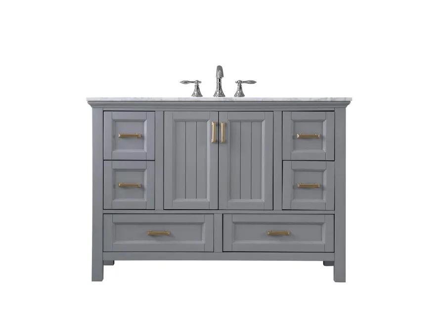 Altair 48 Single Bathroom Vanity Set in Gray without Mirror