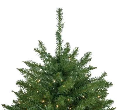 7.5' Pre-Lit Rockwood Pine Artificial Christmas Tree  Clear LED Lights