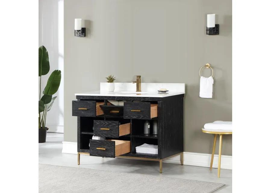 Altair 48 Single Bathroom Vanity Set in Black Oak without Mirror