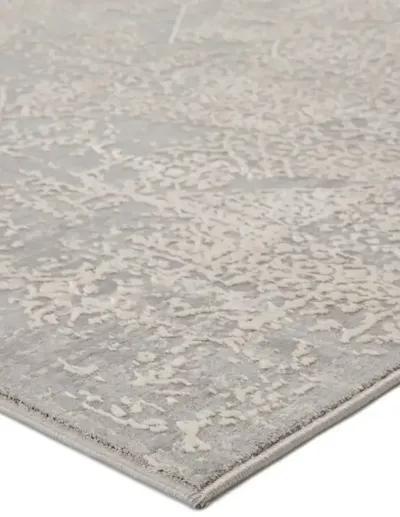 Cirque Lianna Gray 8' X 10' Rug