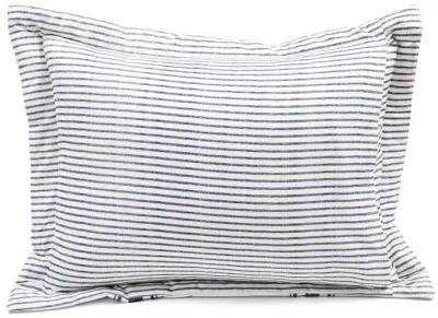 Farmhouse Stripe Reversible Cotton Comforter 2-Pc Set