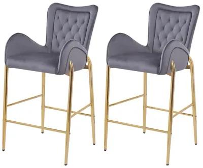 Merax Counter Height Bar Stools Set of 2