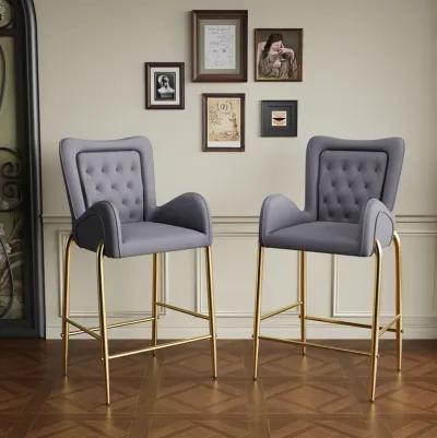 Merax Counter Height Bar Stools Set of 2