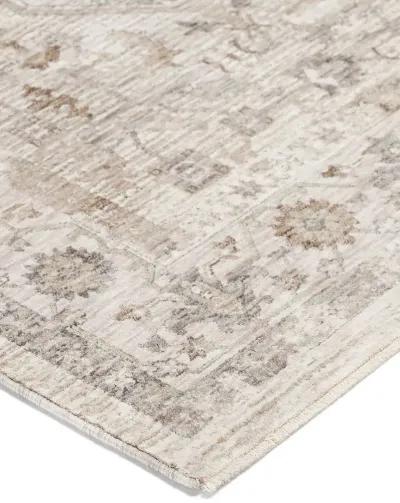 Cyprus CY4 Ivory 5' x 7'10" Rug