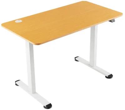 Electric Standing Desk Adjustable Stand up Computer Desk Anti-collision