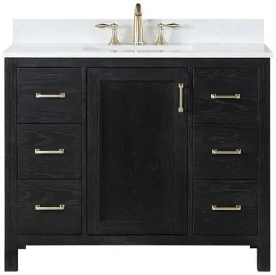 Altair 42 Single Bathroom Vanity Set in Black Oak without Mirror