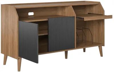 Magnolia TV Console/Record Station