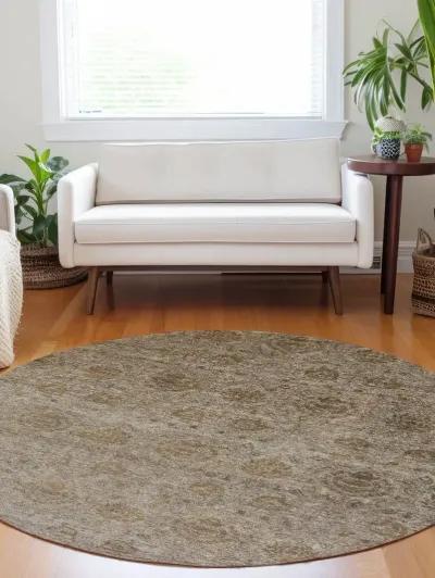 Burano BU8 Brown 8' Rug