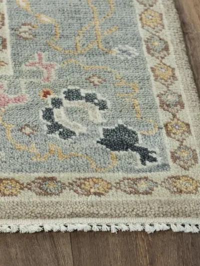 Envision ENV963 2' x 3' Rug