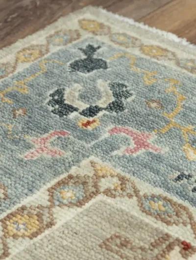 Envision ENV963 2' x 3' Rug