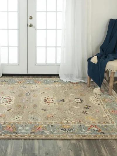 Envision ENV963 2' x 3' Rug