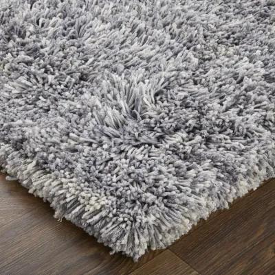 Stoneleigh 8830F Gray/Silver 2' x 3' Rug