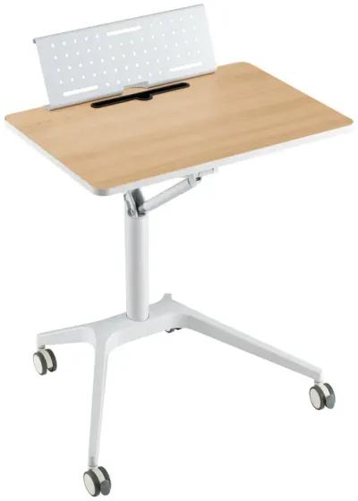 Height Adjustable Mobile Standing Desk with Detachable Holde