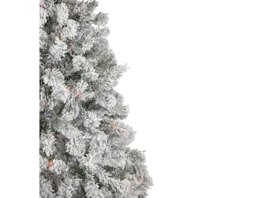 6.5' Pre-Lit Flocked Madison Pine Artificial Christmas Tree  Multi Lights