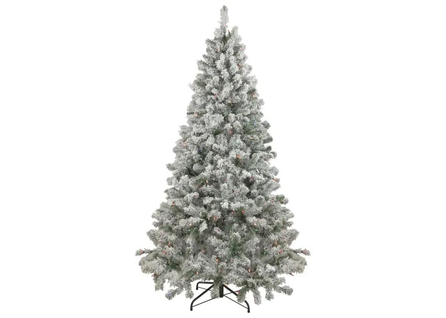 6.5' Pre-Lit Flocked Madison Pine Artificial Christmas Tree  Multi Lights