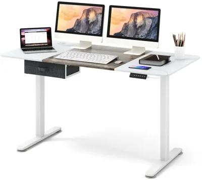 Height Adjustable Electric Standing Desk with USB Charging Port