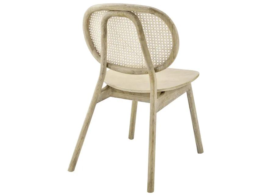 Malina Wood Dining Side Chair Set of 2