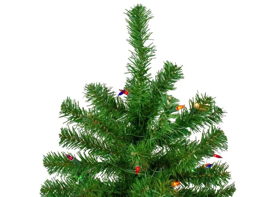 7' Pre-Lit Norfolk Spruce Artificial Christmas Tree  Multi Lights