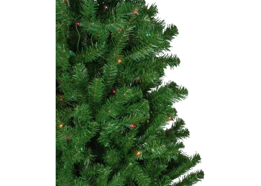 7' Pre-Lit Norfolk Spruce Artificial Christmas Tree  Multi Lights